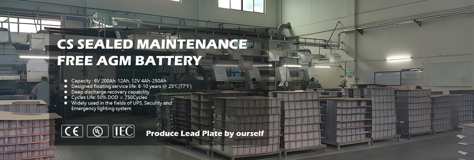 Maintenance free Sealead lead acid battery (VRLA AGM Battery)