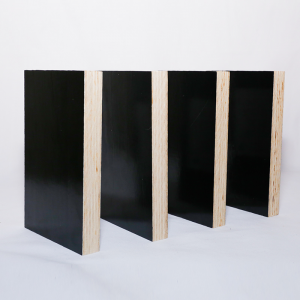 Architectural phenolic film-coated panels suitable for various construction projects