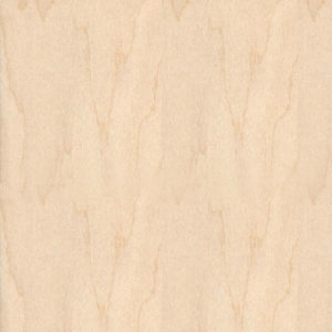 factory best quality russian full birch plywood B/BB 100% birch plywood Featured Image