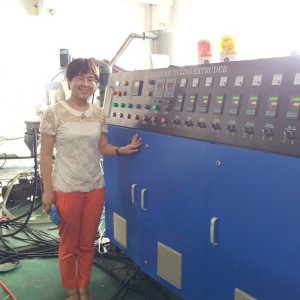 Manufacturer for Plastic Extruder Machine - 300kg PE PP water ring pelletizing line – Cuishi