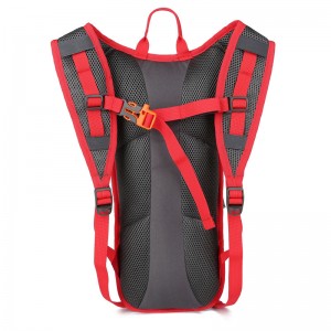 Shanghai Cool Running Backpack Quotation