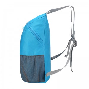 Customized Colors Foldable Backpack Quotation