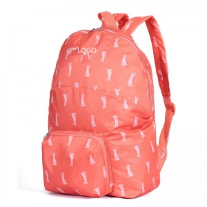 Chinese Modern Foldable Backpack Dhizaini