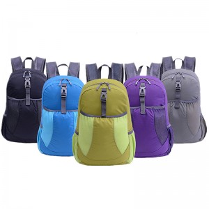 China Colored Foldable Backpack Ug Plant Introduction