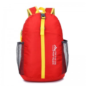 China Custom Gym Backpack Suppliers –  Manufacturing Hot Selling Foldable Backpack Catalog – FEIMA BAG