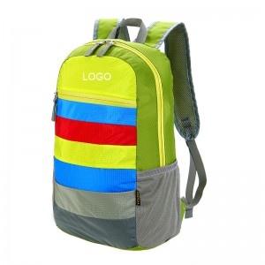 Import Classic Foldable Bag Offer