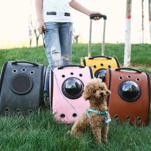 Cool Cat Trolley Bag ძაღლის ჩანთა – FTR16