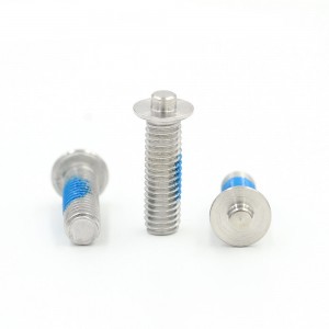 manufacturer custom design anti loose screws whit nylon patch