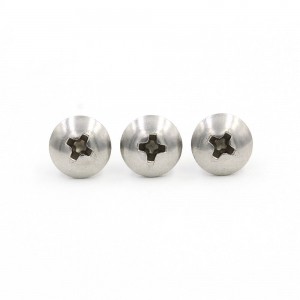 Stainless Steel Truss Head phillips Self Tapping screws
