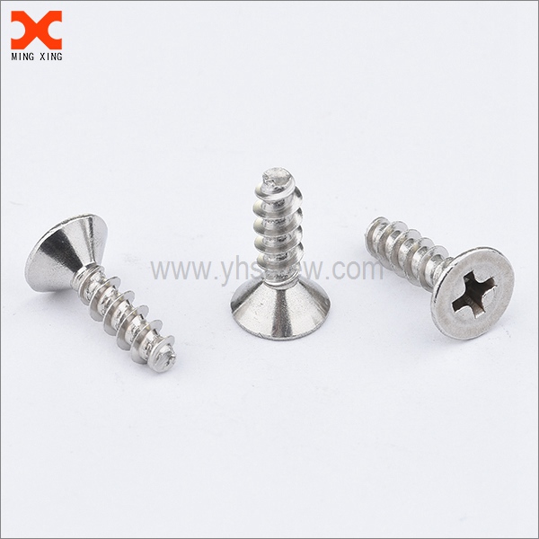 26-18-8-grade-stainless-steel-PT-thread-rolling-screws