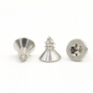 Stainless Steel Zinc Painted BrassCountersunk Head Torx Self Tapping Screw