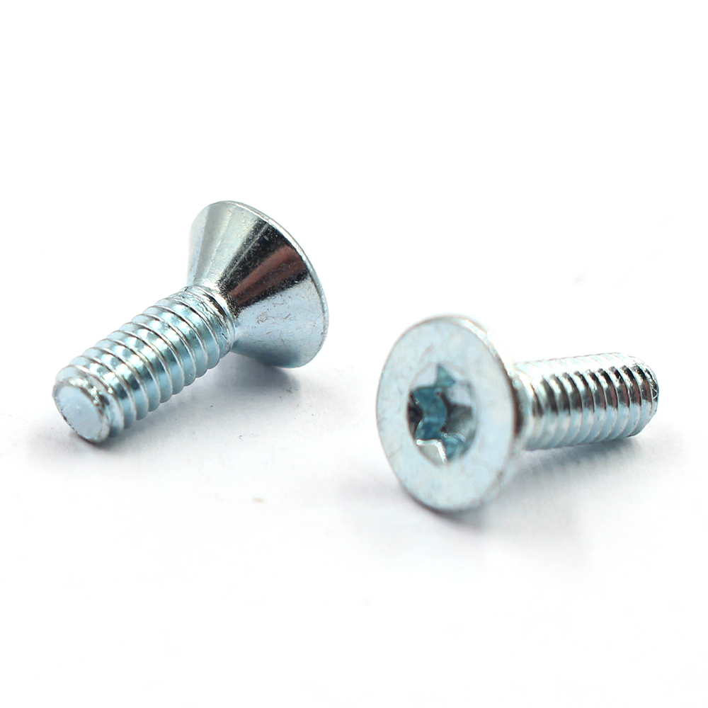 What are the different types of Torx screws?
