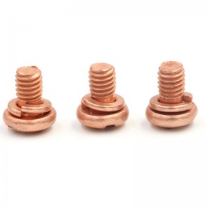 OEM Factory Custom Design red copper screws
