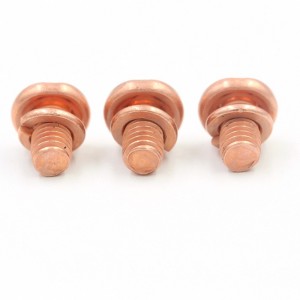 OEM Factory Custom Design red copper screws