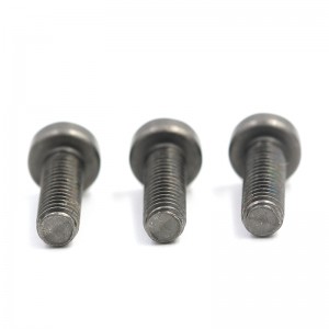 Custom stainless steel anti theft screw