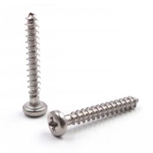 custom stainless phillips self tapping screw