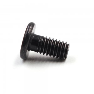 supplier custom black wafer head socket screw