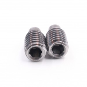 stainless steel customized socket raised end set screws