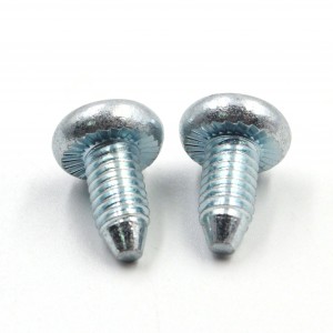 OEM Factory Custom Design torx screws