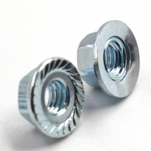 Stainless Steel Rotating Hex Flange Nut