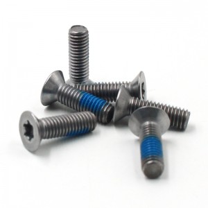 Manufacturer customized Anti Theft thread locking screw