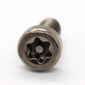 Customized High Quality Torx Pin Anti-Theft Safety Screws