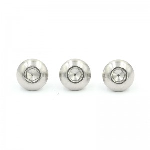 316 stainless steel custom socket button head screw