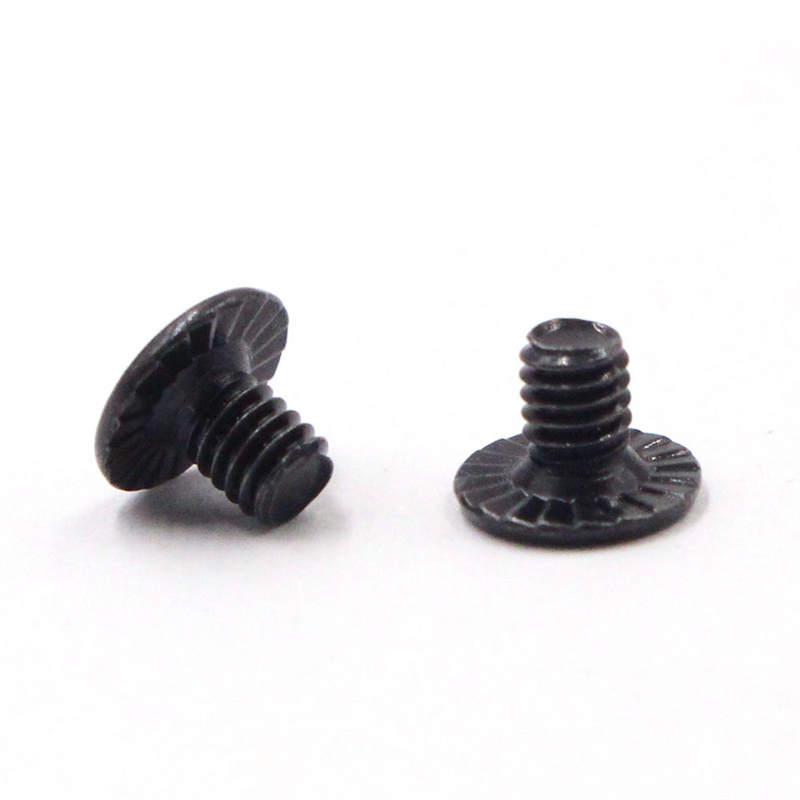 Precision micro screws