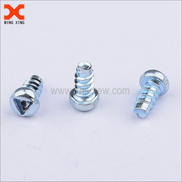 Triangle screw  security screw pan head removable