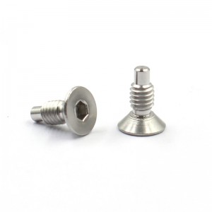 Professional Factory for Custom Make Fastener Screw Connecter Brass Stainless Steel Material Parts