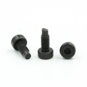 Wholesale price customized stainless steel screws