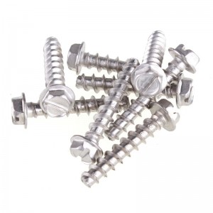 stainless steel screws Factory wholesale customization
