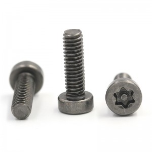 torx drive stainless steel security screws with pin