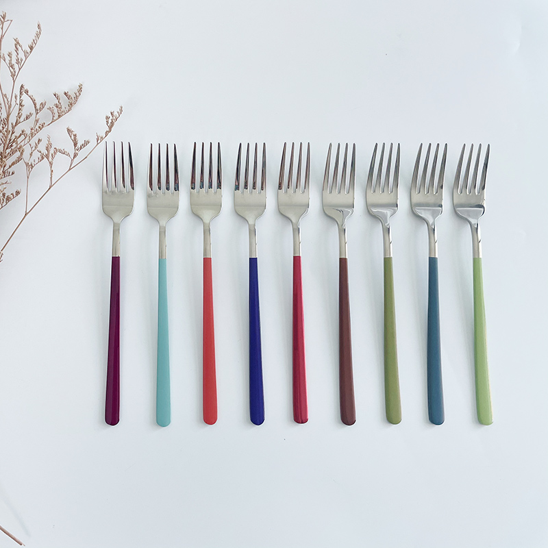 Wholesale stainless steel 18/8 fork sets with customized colors