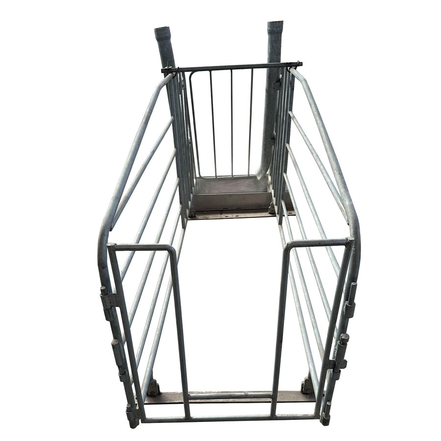Gestation-Crates-with-steel-pipe-or-solid-bar-frame00