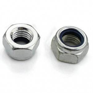 High definition Foundation Anchor Bolts - Stainless Steel Flange Lock Nuts – Chuanyi