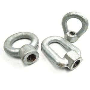 Forged Eye Nuts and Stainless Steel Eye Nuts