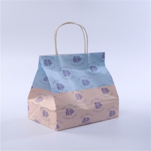 Special Design for Compostable - Shopping Bag  – Cyan Pak