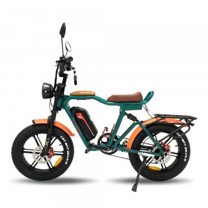 1000W 48V 22Ah 55km/h external lithium battery electric bike