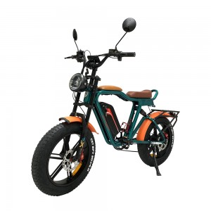 Bici elettrica con batteria al litio esterna da 1000 W 48 V 22 Ah 55 km/h
