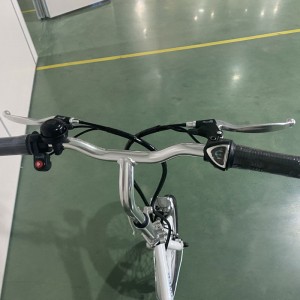 308-5 250 Вт, 24 В, 12 Аг, 25 км/год, електричний велосипед з літієвою батареєю