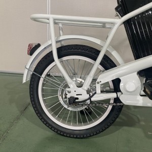 308-5 250W 24V 12Ah 25km/h Lithium Battery Electric Bike
