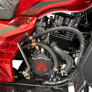 250cc тежкотоварен Мощен триколесен товарен мотоциклет с водно охлаждане