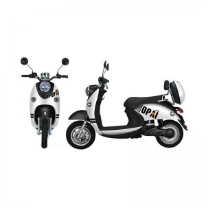 Professional China EEC Coc 2000W Electric Moped/Long Rang Adult Electric Moped