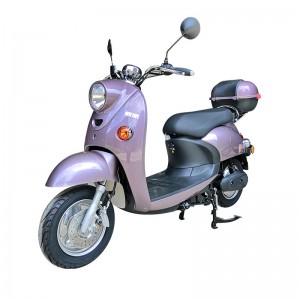 Propesyonal na China EEC Coc 2000W Electric Moped/Long Rang Adult Electric Moped