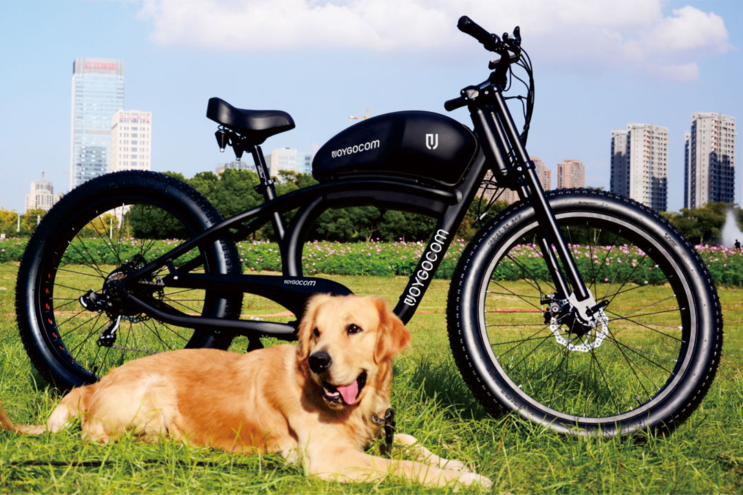 יצרן אופניים חשמליים תומך בניידות חשמלית - אמצעי בטיחות כדי להבטיח נסיעה שלווה.