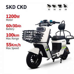 इलेक्ट्रिक बाइक BD 1200W 60V 30Ah 55km/h