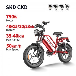 Electric Bike D70 750W 48V 15Ah/20Ah/23Ah 50km/h
