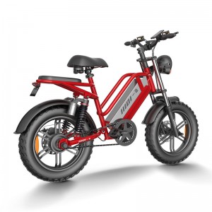 Električni bicikl D70 750W 48V 15Ah/20Ah/23Ah 50km/h