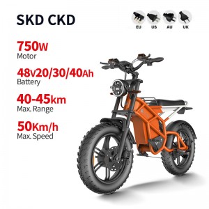 इलेक्ट्रिक बाइक D74 750W 48V 20Ah/30Ah/40Ah 50km/h
